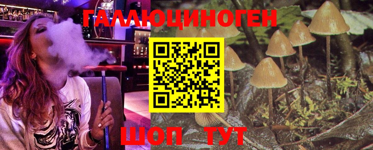 Анжеро-Судженск  Галлюциногенные грибы Psilocybe  Галлюциногенные грибы прущие грибы  Вход с VPN 